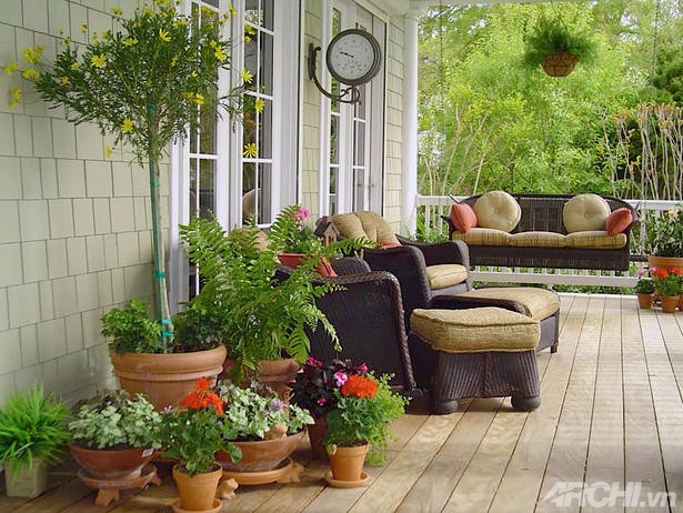 Sắc hoa rực rỡ lối vào nhà